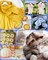 Crochet Kit for Beginners Young and Old, First Crochet Kit for Adults Include 23pcs Crochet Hooks, 655 Yards Yarn Set for Crocheting, Instruction, Bag, Crochet Accessories and Supplies, Navy